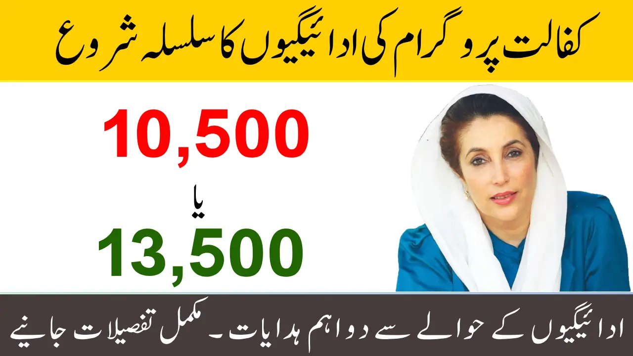 BISP 2025 Payment Update How to Check Your Rs. 13,500 via CNIC on 8171 Portal