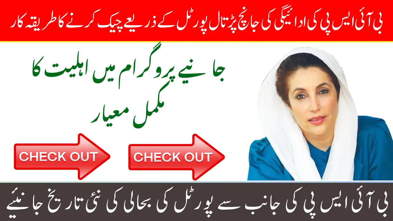 BISP 8171 June 2025 Payment Check Your Complete Guide to Eligibility, Payment, and Delays