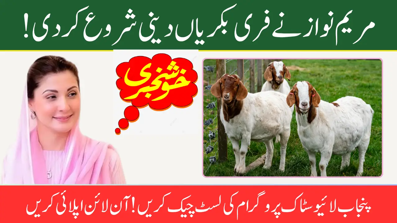 Punjab Free Livestock Program 2025 Check Your Name in the Distribution List – Get Your Animals Today!