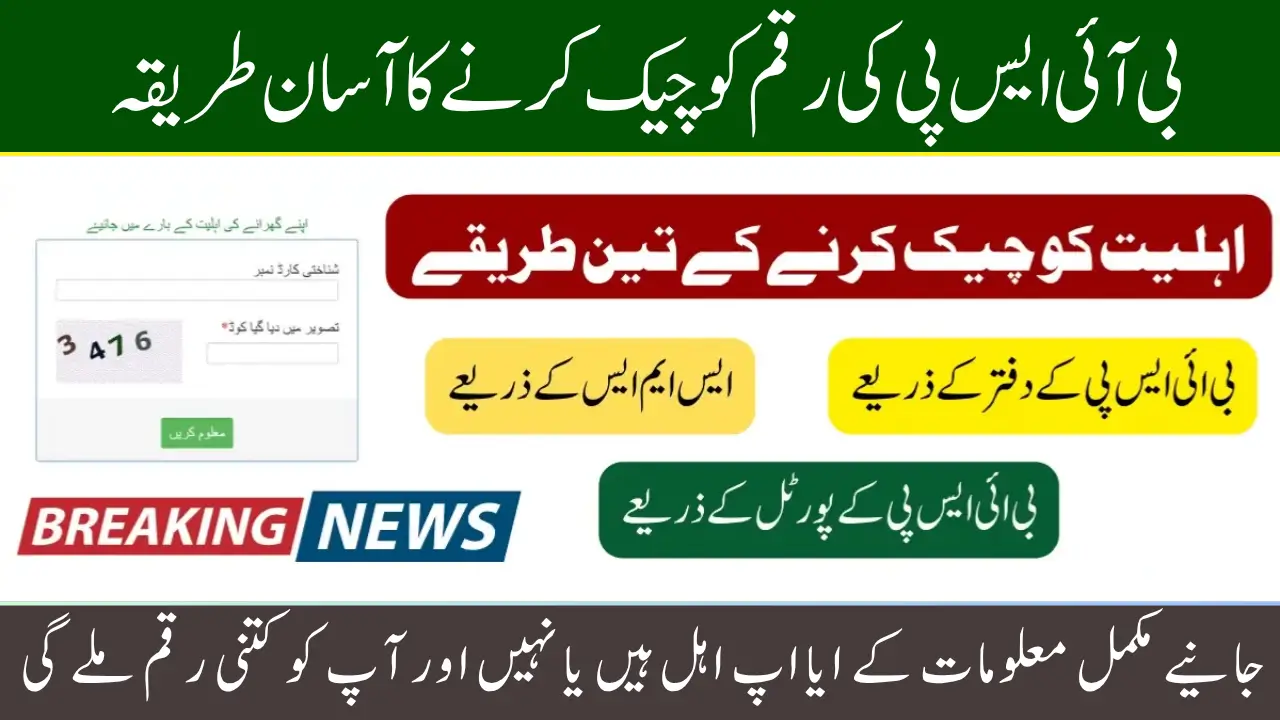 13500 BISP Payment Check Online By CNIC and SMS Complete 2025 Guide for Beneficiaries