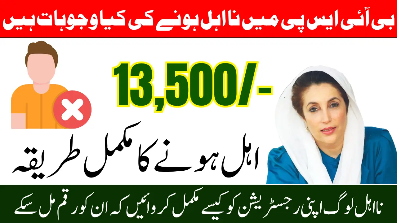 BISP 13500 Payment Stopped Common Reasons and How to Get It Back in 2025
