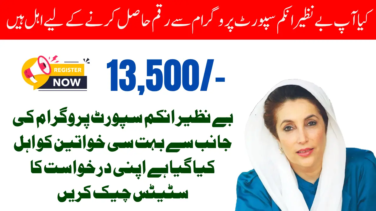 BISP Registration Check by CNIC – 8171 Portal & SMS Verification Process Explained