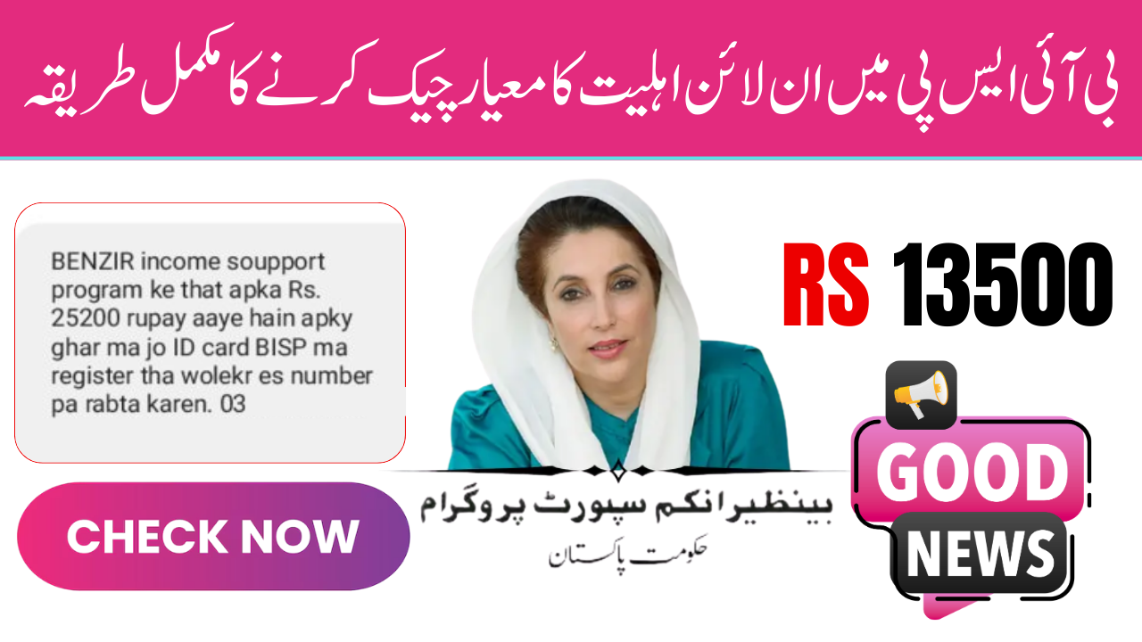 BISP Check Balance Online by CNIC – July 2025 Complete Guide for Beneficiaries (1)