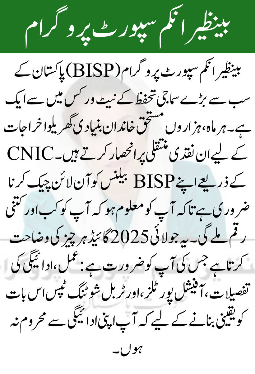 BISP Check Balance Online by CNIC – July 2025 Complete Guide for Beneficiaries (1)