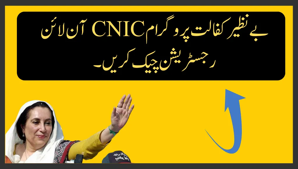 Benazir Kafalat Program CNIC Check Online Registration